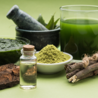 ayurveda-medicine-herbs